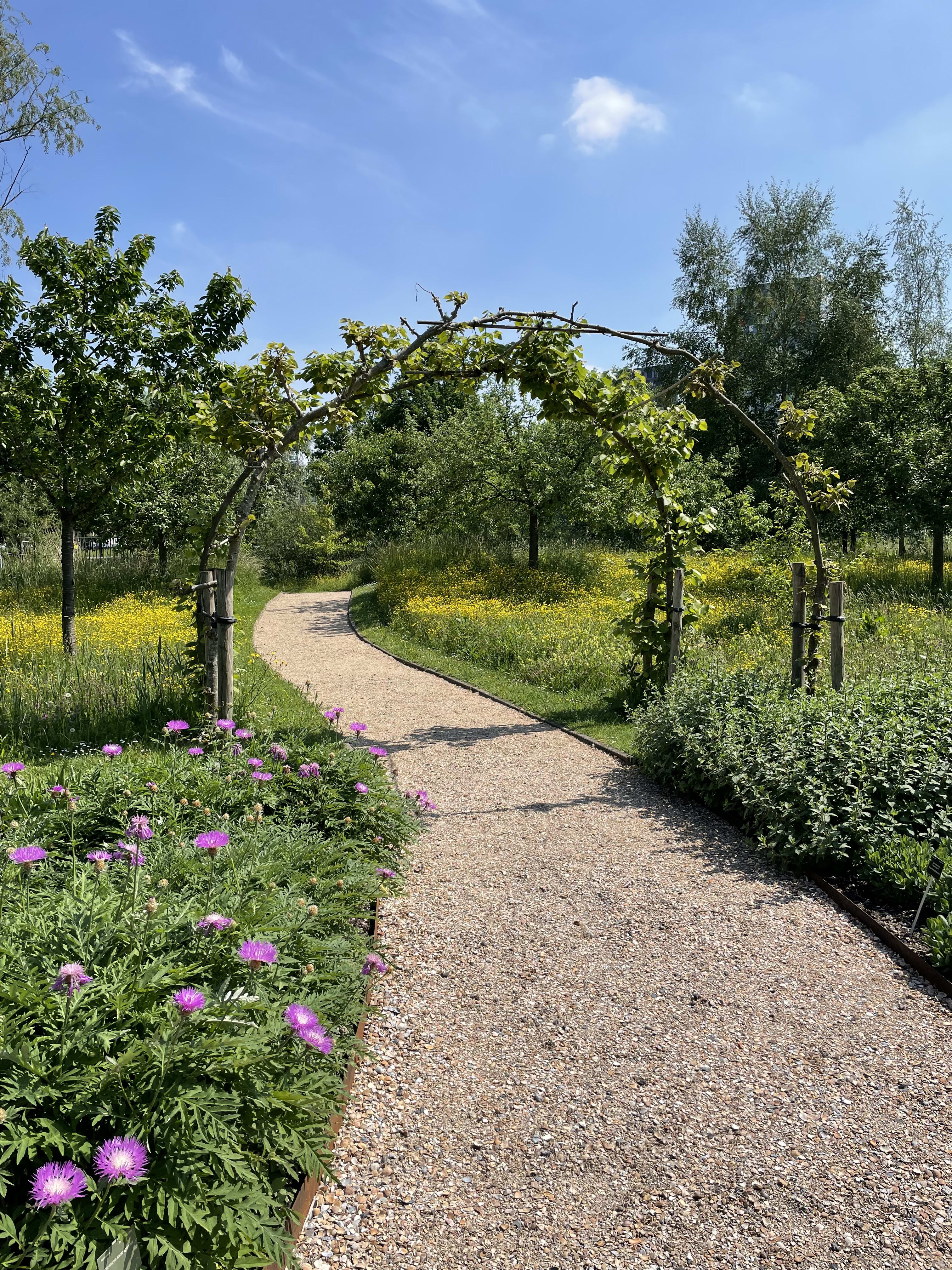 Een Vlindertuin Creëren: Een Haven voor de Wonderen van de Natuur