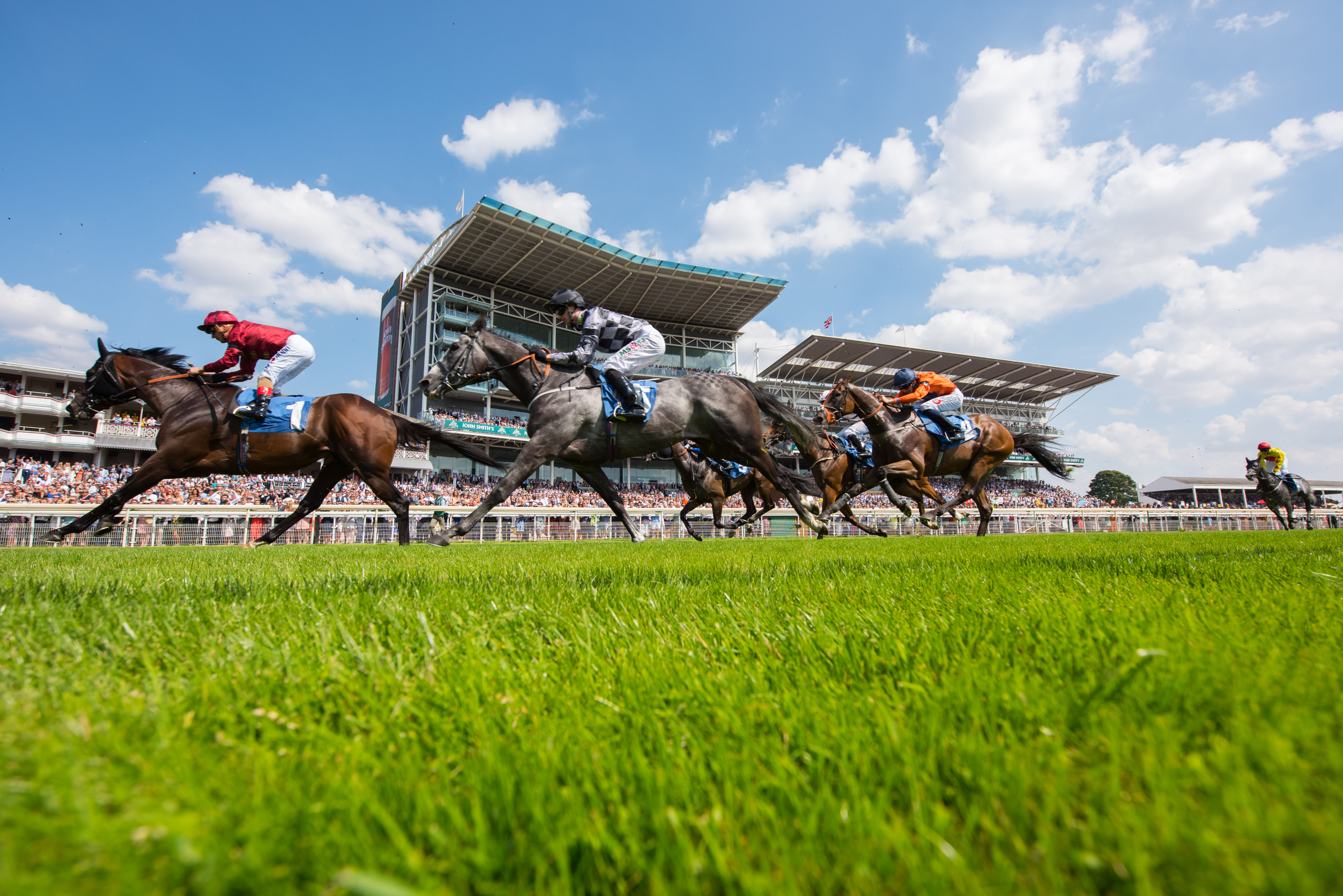 York Racecourse horseracing 