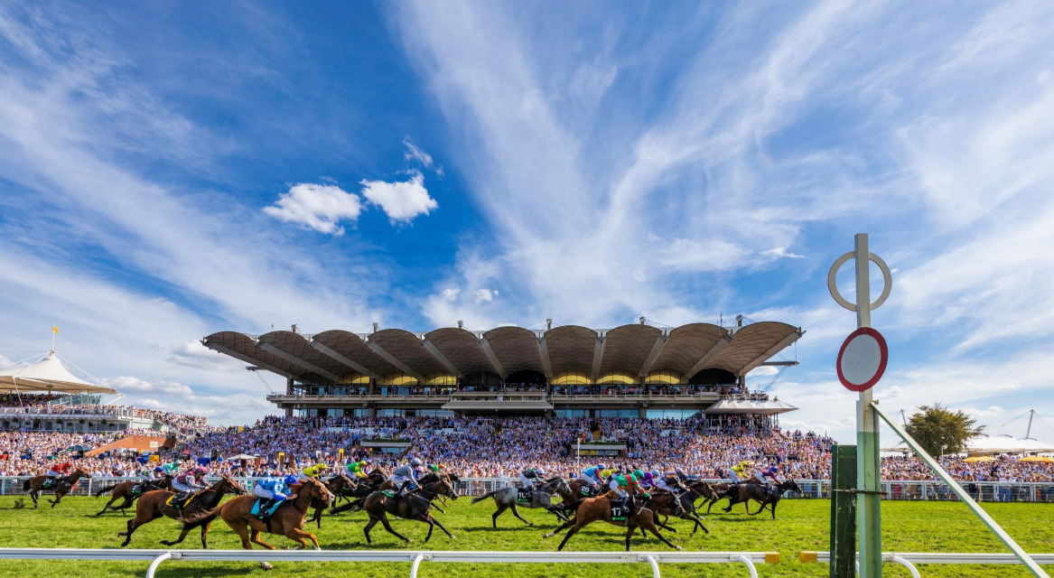 Horses and jockeys racing at Goodwood Racecourse