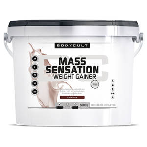 MASS SENSATION Weight Gainer