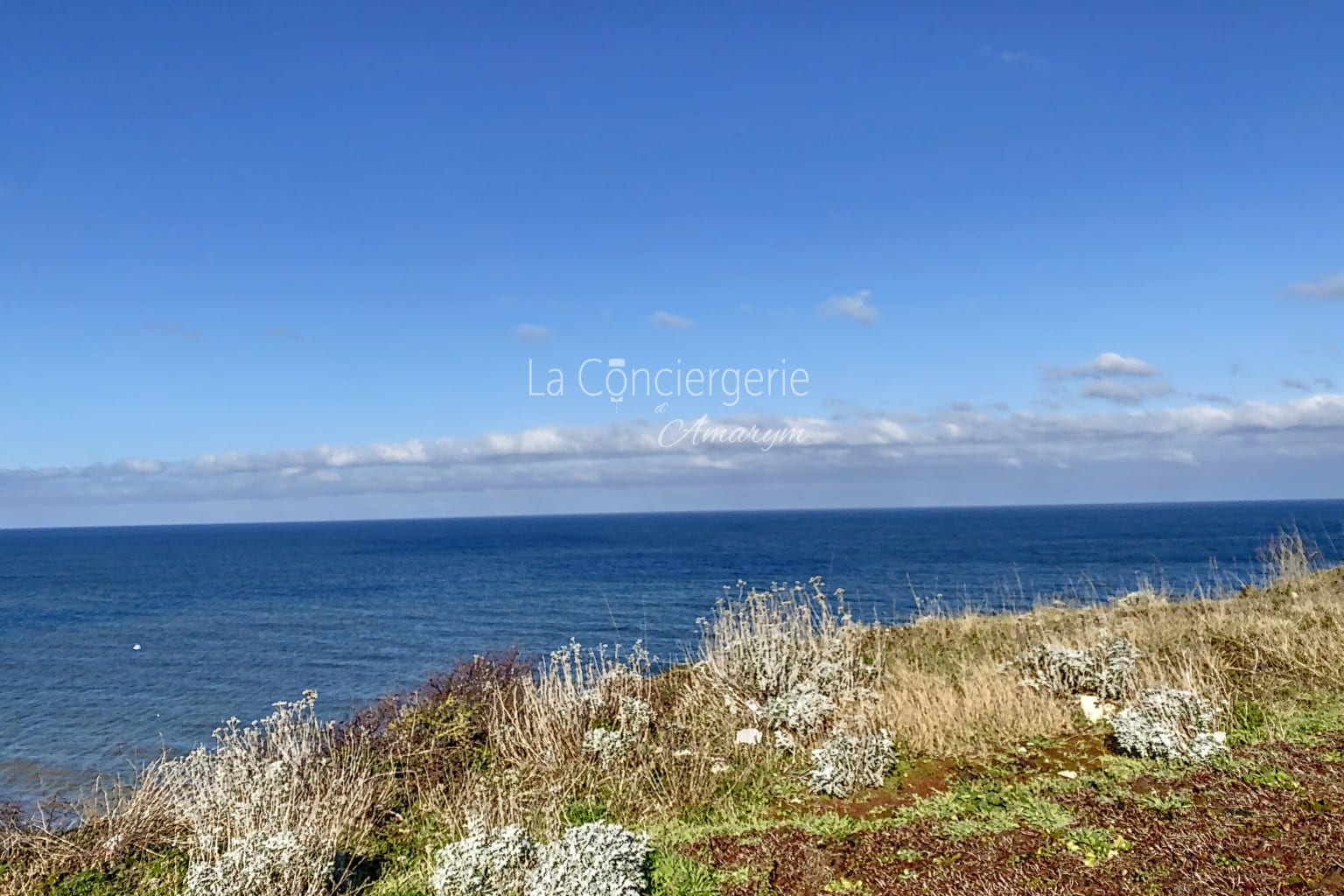 AD 41 - La Perle Marine, vue 41