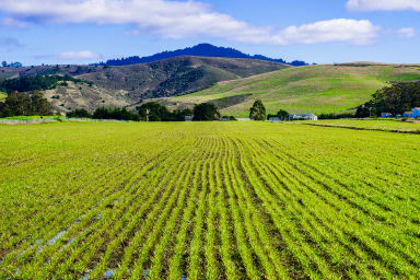 Coastside is an authentic farm community in one of the most spectacular settings