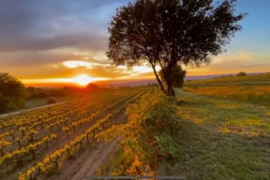 Sunset over lavender fields for an unforgettable holiday