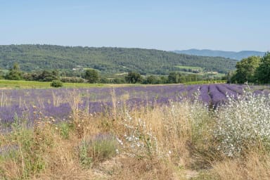 Fabulous country house to rent in the heart of lavender fields in Luberon