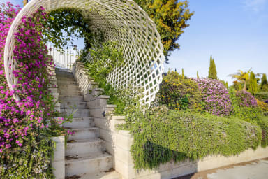 Steps up from the street with beautiful fruit producing passionfruit trees!