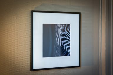 Décoration d'ambiance