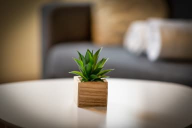 Décoration d'ambiance