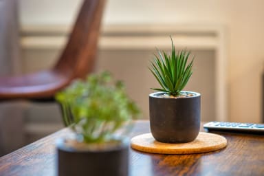 Décoration d'ambiance