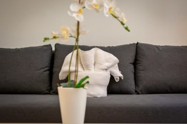 Décoration d'ambiance