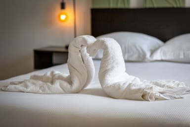 Linge de maison fournit