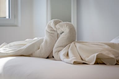Linge de maison fournit