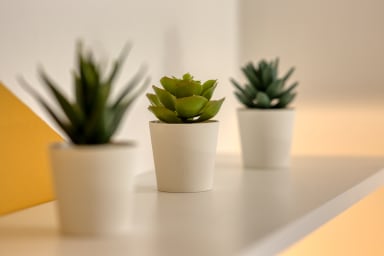 Décoration d'ambiance