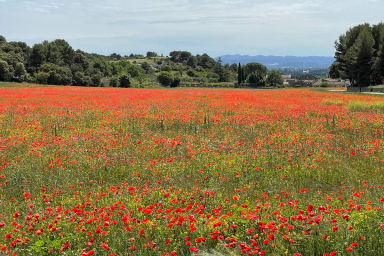 La nature entre garrigue et villages typiques.