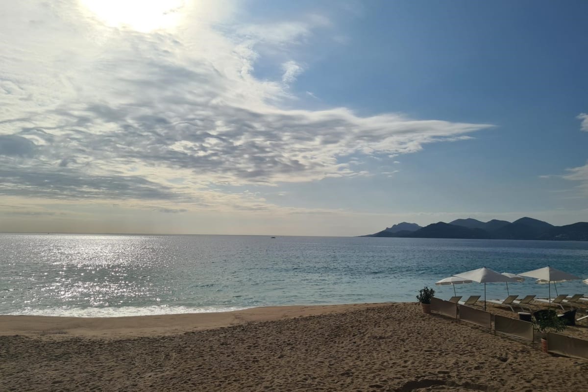 Bel Appt Proche Croisette Beach Cannes