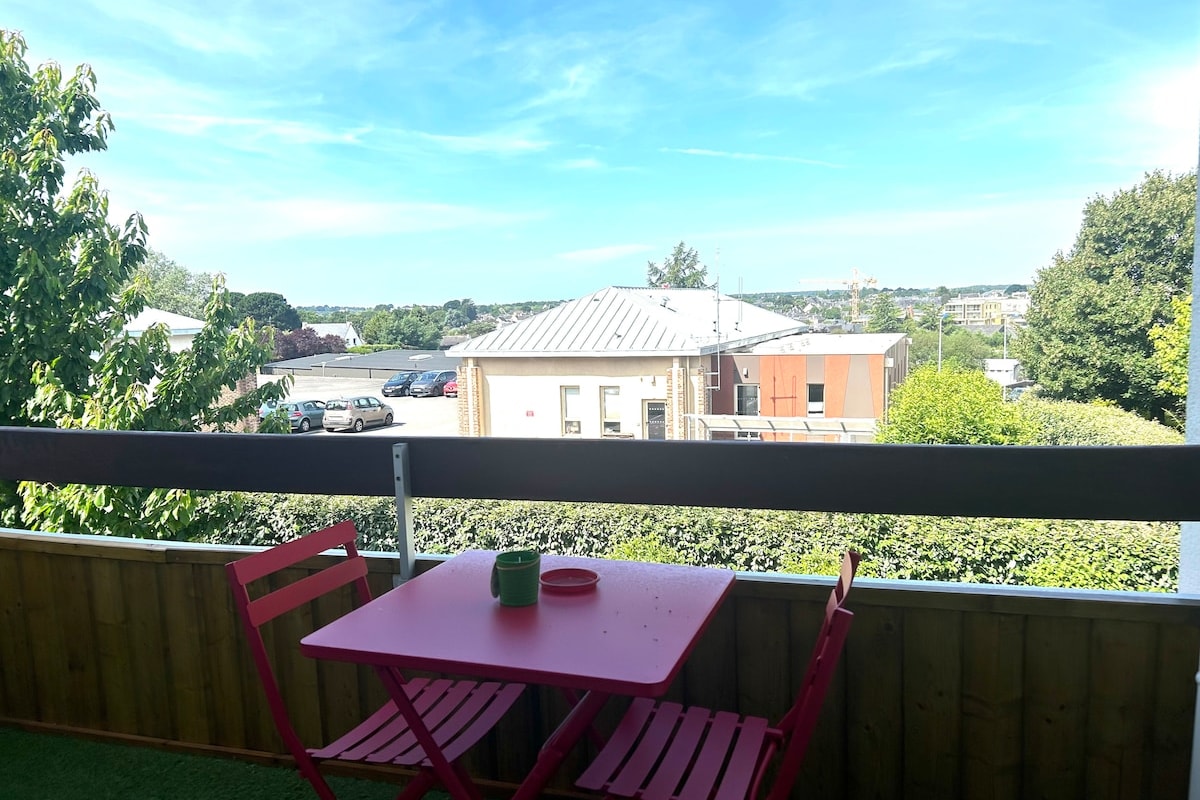  Bel appartement - Plein coeur de Vannes 