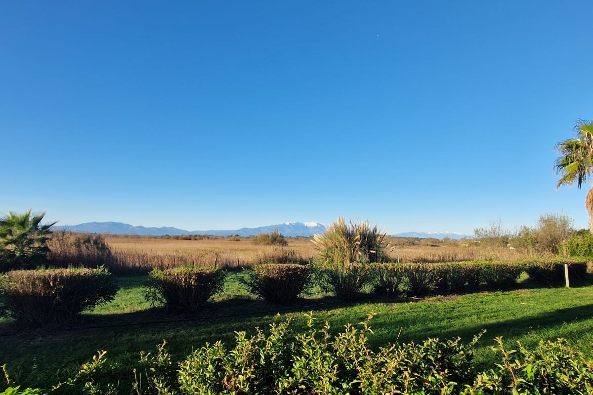  immobilier Appartement