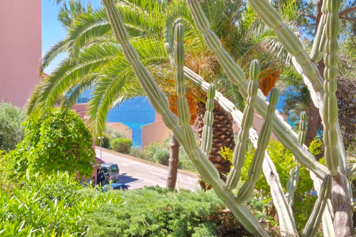 Immobilier Studio vue mer et jardin à 10 min des plages  