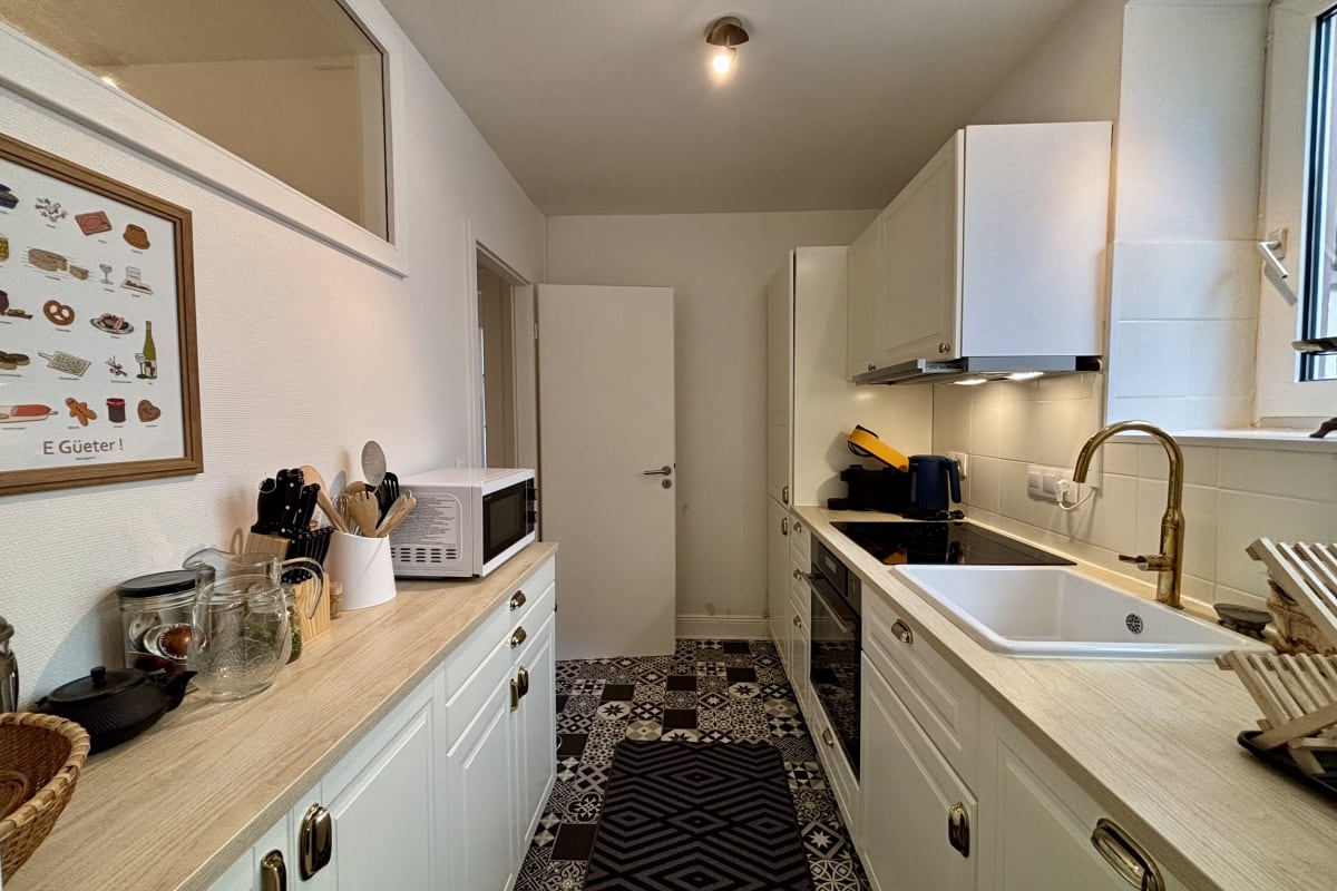 Appartement Grand appart lumineux avec garage à Schiltigheim 