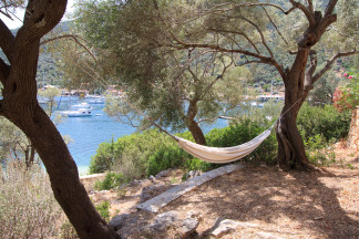 Relaxing hammock in the shadow of olive-trees facing the sea
