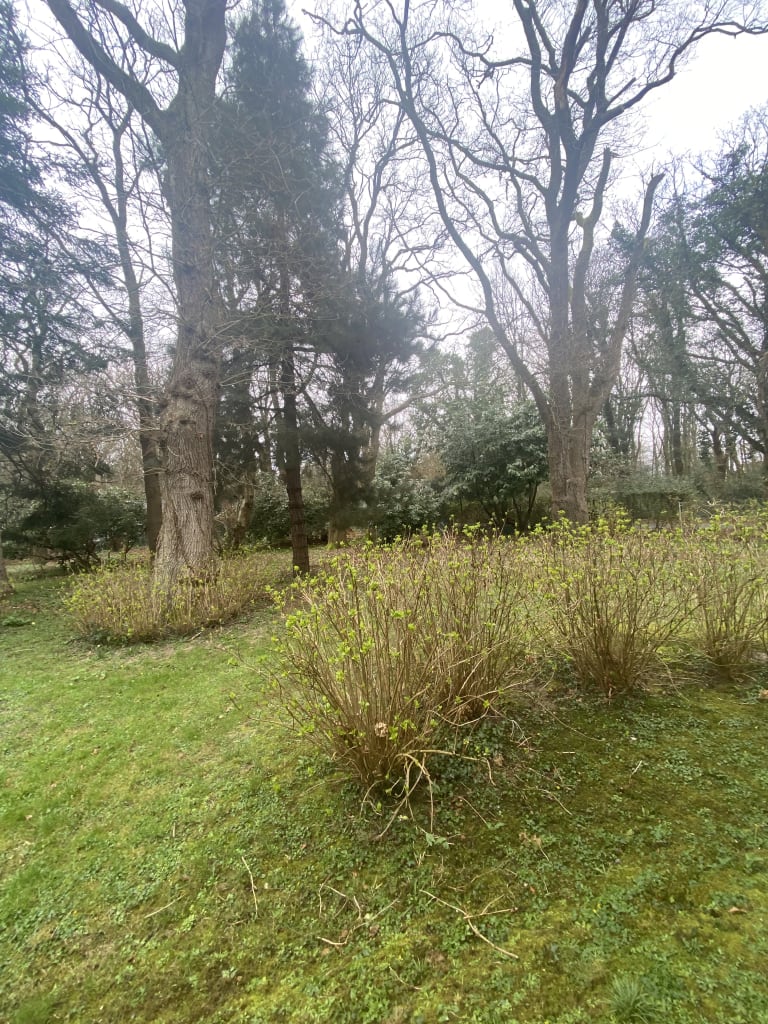 BG 32 - Mer & Bois de Cise, vue 40