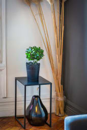 Décoration d'ambiance