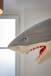 Décoration d'ambiance