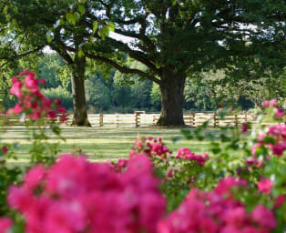 book-maison-diecisiete-property-rental-kid-friendly-rambouillet-pioma-home