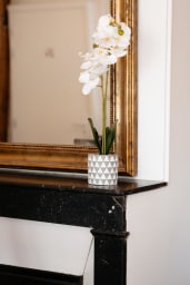 Décoration d'ambiance