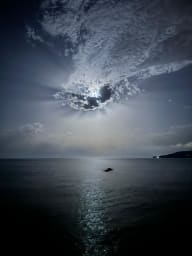 Baignade au clair de lune depuis la crique 
