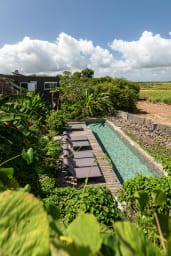 Photo de Appartement en location saisonnière à Petit-Canal en Guadeloupe 