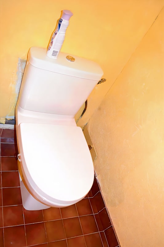  Remarquable logement au coeur du Marais 