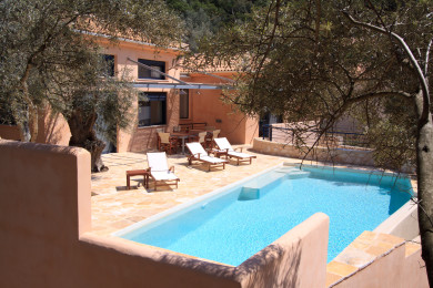 Swimming pool in between the olive trees