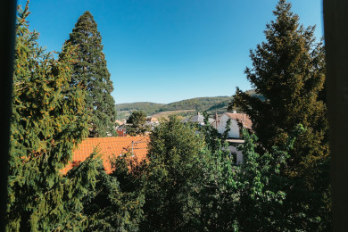Un écrin de verdure vous entoure 