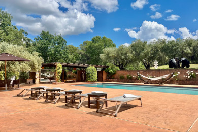 The pool 