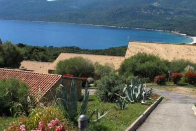 Photo of the green residence with sea view