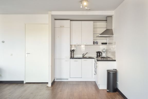 Spacious and luxurious first flloor apartment with balcony- Kaag  (18)
