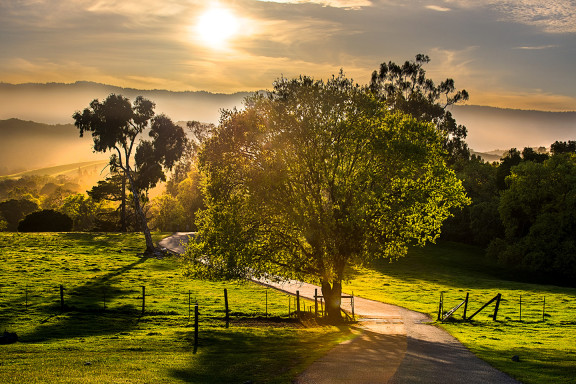 California