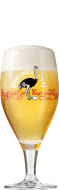 't IJ Blond Ale