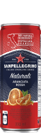 San Pellegrino Aranc...