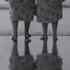 Salt, Root and Roe publicity image