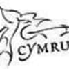 Clwyd Theatr Cymru logo