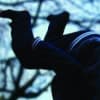 Somersaults publicity image