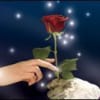 Beauty and the Beast, Lyceum, Edinburgh