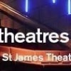 “Thriving Theatres” - Theatres Trust Conference 13