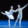 Tamara Rojo and Matthew Golding in Swan Lake in-the-round