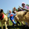 The cast of the Wyvern Theatre's 'Jack and the Beanstalk' at Roves Farm