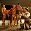 Leave the childhood horse out of it. National Theatre's War Horse on tour