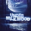 A new production of Under Milk Wood directed by Terry Hands opens at Clwyd Theatr Cymru then tours