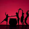 Pilobolus in Shadowland