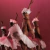 Dada Masilo's Swan Lake